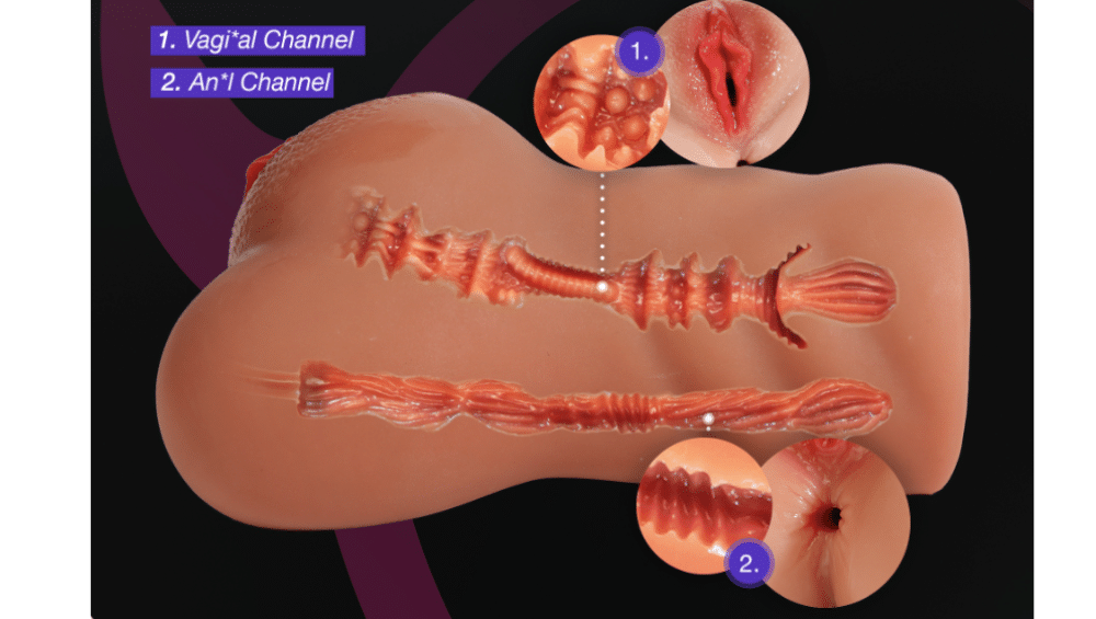 the internal structure of the pocket pussy pro